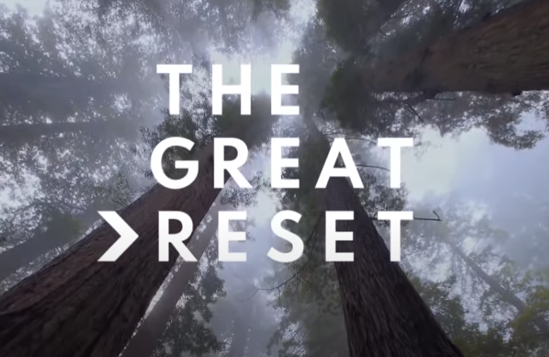 The Great Reset: How We Got Here